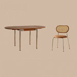 ラタンとPUレザーのスタイリッシュチェア | 多層板&ステンレス&チェリー材使用 fpmxm-2772