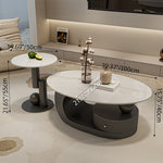 クリエイティブ楕円形 セラミック天板ローテーブル 軽ラグジュアリー モダンミニマルデザイン アートな佇まいで上質なリビングに fel-1945