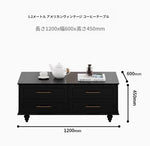 モダンデザイン センターテーブル 多層板製 クラシックブラック おしゃれ収納付き リビングルームに最適 fcr-4829