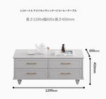 モダンデザイン センターテーブル 多層板製 クラシックブラック おしゃれ収納付き リビングルームに最適 fcr-4829