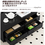 モダンデザイン センターテーブル 多層板製 クラシックブラック おしゃれ収納付き リビングルームに最適 fcr-4829