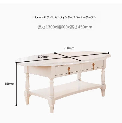 おしゃれなセンターテーブル | 多層板製 | デザイン性と収納力を兼ね備えたリビング家具 fcr-4840