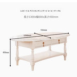 おしゃれなセンターテーブル | 多層板製 | デザイン性と収納力を兼ね備えたリビング家具 fcr-4840