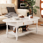 おしゃれなセンターテーブル | 多層板製 | デザイン性と収納力を兼ね備えたリビング家具 fcr-4840