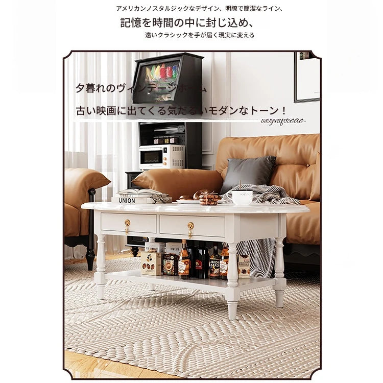 おしゃれなセンターテーブル | 多層板製 | デザイン性と収納力を兼ね備えたリビング家具 fcr-4840