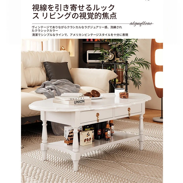 おしゃれなセンターテーブル | 多層板製 | デザイン性と収納力を兼ね備えたリビング家具 fcr-4840