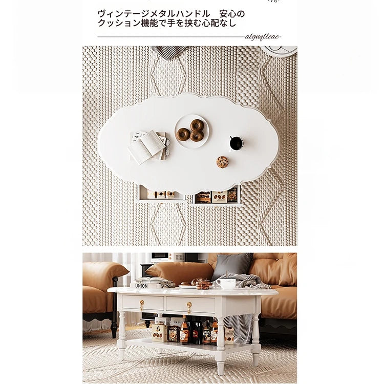 おしゃれなセンターテーブル | 多層板製 | デザイン性と収納力を兼ね備えたリビング家具 fcr-4840