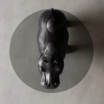 ユニークなデザインの強化ガラス製センターテーブル - ヒップポタマスモチーフでインテリアに個性をプラス! fjd-4712