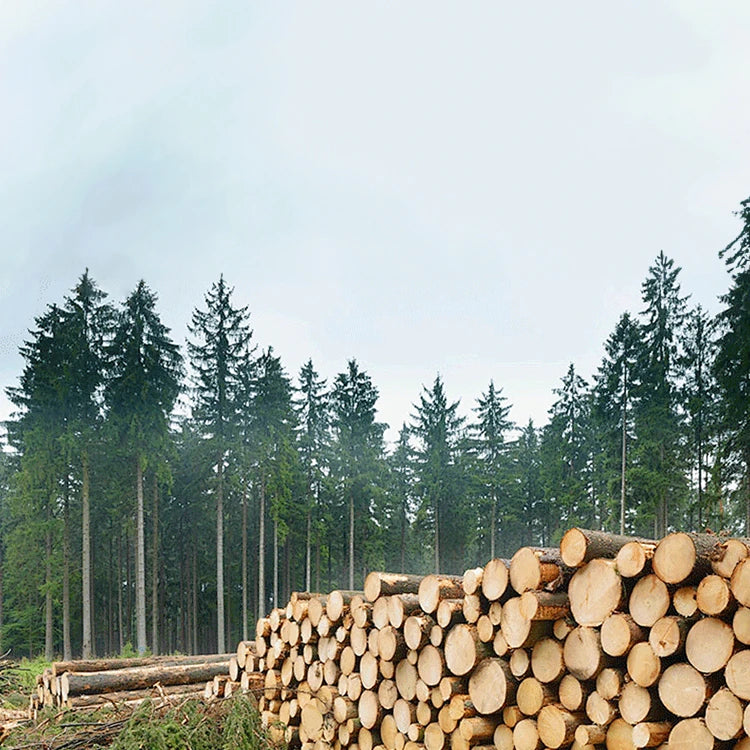 パイン材と銅の多層板を使用した和風テレビ台シルクデザイン fjnw-4544