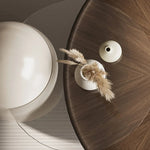 モダンデザインのセンターテーブル - 多層板&強化ガラス使用 fkb-4381