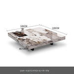 大理石とステンレスの洗練されたセンターテーブル - モダンインテリアに最適なデザイン flsd-5183