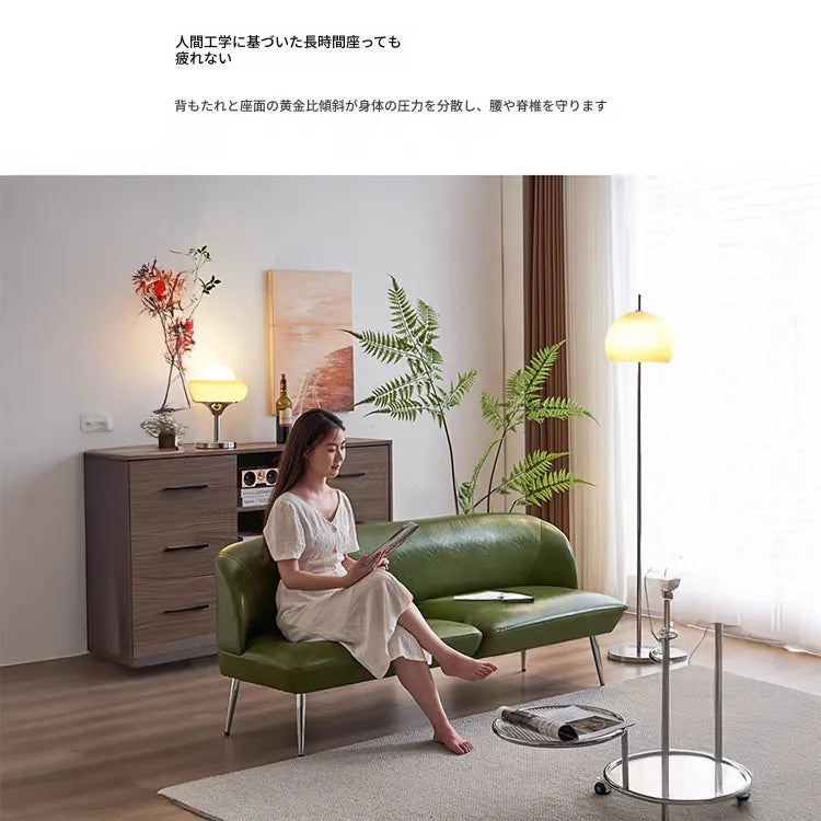 ソファー グリーン ブラック イエロー 無垢材 合皮 fmdgz-3711