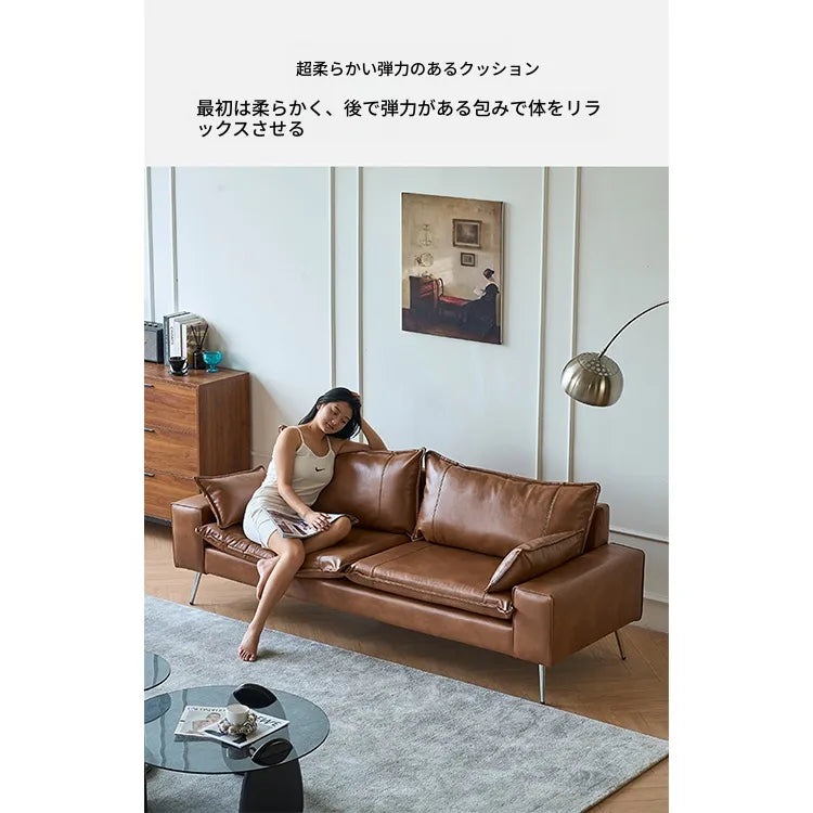 ソファー ブラウン カラー1 無垢材 シリコンフィル ステンレス 合皮 fmdgz-3726