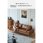 ソファー ブラウン カラー1 無垢材 シリコンフィル ステンレス 合皮 fmdgz-3726