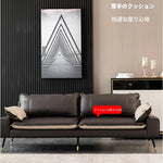 ソファー カラー1 カラー2 カラー3 カラー4 カラー5 無垢材 シリコンフィル 合皮 エアレザー fmdgz-3731