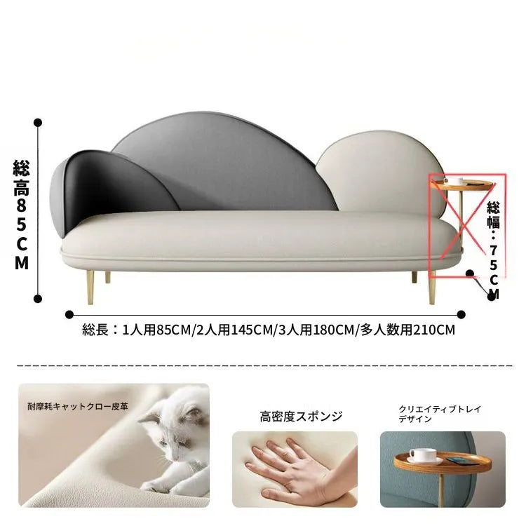 ソファー カラー1 カラー2 カラー3 カラー4 カラー5 カラー6 カラー7 ベージュ 無垢材 合皮 fmdgz-3748