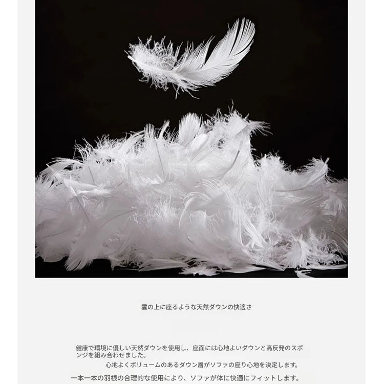 スタイリッシュなパイン・ダウン・合成皮革ソファー | モダンリビングの必需品 | 収納付き・快適な座り心地 fmfd-5056