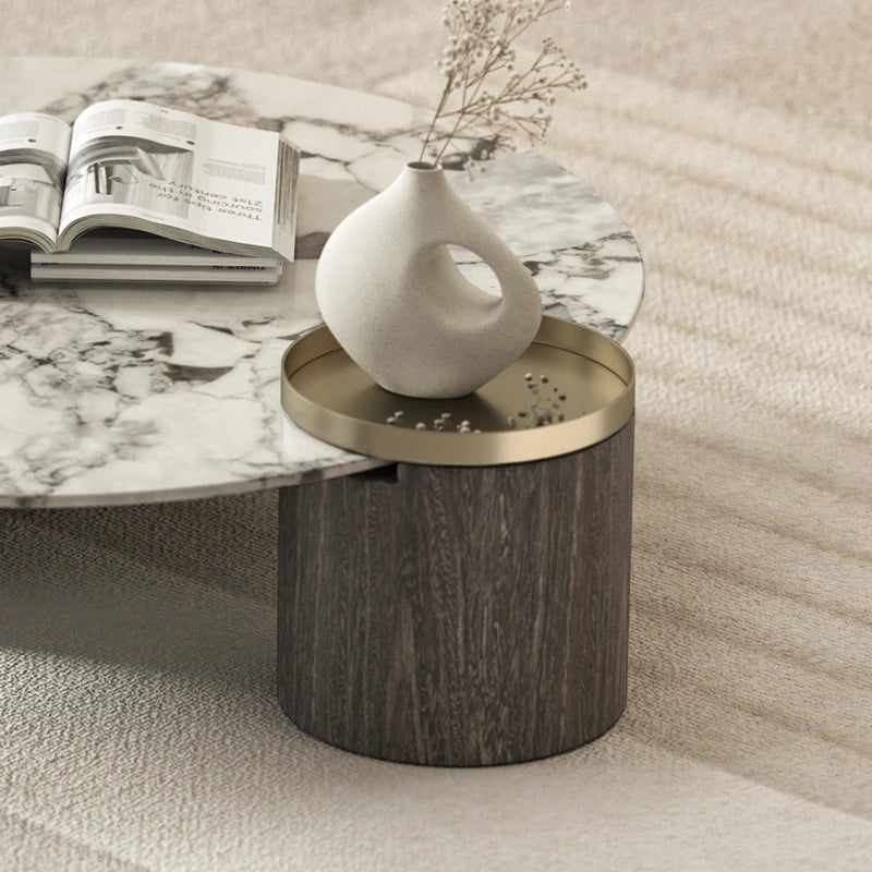 センターテーブル 大理石デザイン 多層板 ステンレス製 おしゃれなリビング家具 収納付き fmfd-5063