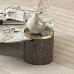 センターテーブル 大理石デザイン 多層板 ステンレス製 おしゃれなリビング家具 収納付き fmfd-5063