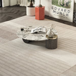 センターテーブル 大理石デザイン 多層板 ステンレス製 おしゃれなリビング家具 収納付き fmfd-5063