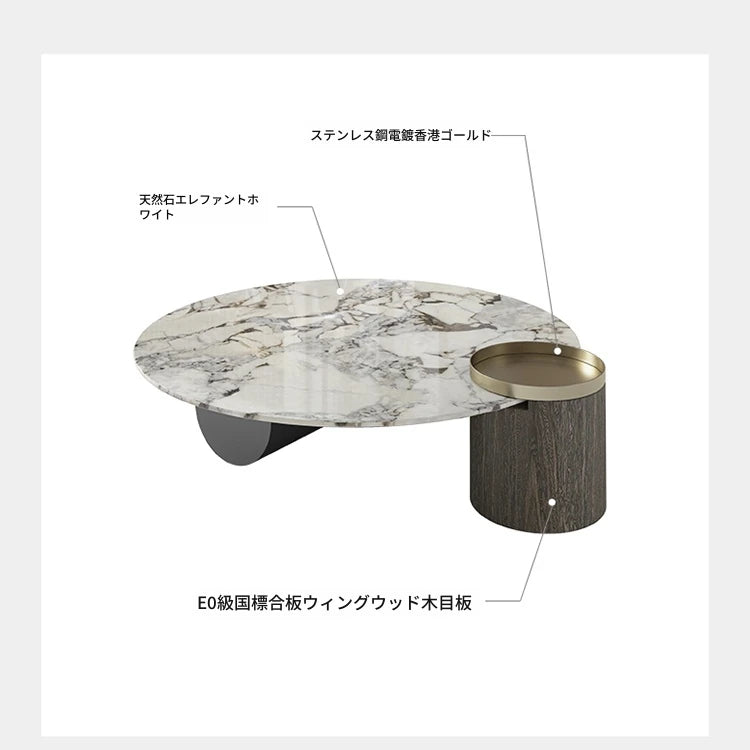 センターテーブル 大理石デザイン 多層板 ステンレス製 おしゃれなリビング家具 収納付き fmfd-5063