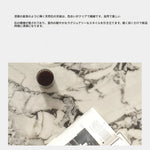 センターテーブル 大理石デザイン 多層板 ステンレス製 おしゃれなリビング家具 収納付き fmfd-5063