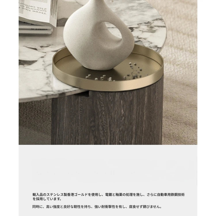 センターテーブル 大理石デザイン 多層板 ステンレス製 おしゃれなリビング家具 収納付き fmfd-5063