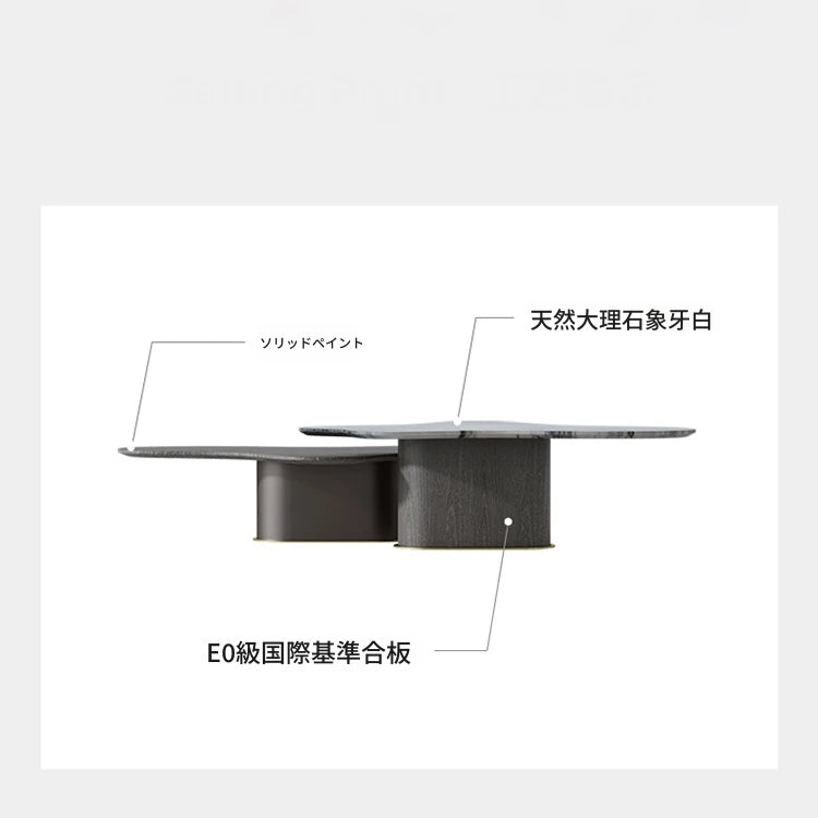 モダンデザインの大理石センターテーブル - スタイリッシュなリビングルーム用家具 fmfd-5075