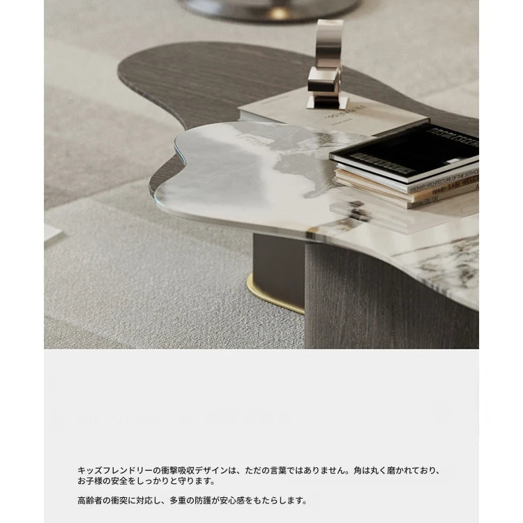 モダンデザインの大理石センターテーブル - スタイリッシュなリビングルーム用家具 fmfd-5075