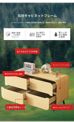 スタイリッシュなパイン材のPUレザー製キャビネット - モダンインテリアにぴったりな収納家具 fmxjs-5349