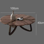 ウォールナットステンレス製センターテーブル:デザイン性溢れるリビングの主役 fplk-5026