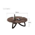 ウォールナットステンレス製センターテーブル:デザイン性溢れるリビングの主役 fplk-5026