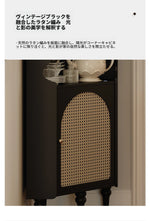 シックなアクリル銅ラタンキャビネット - スタイリッシュな収納でお部屋を演出します! fymj-4851