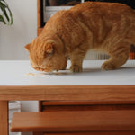 豪華セラミック天板&チェリー材テーブル | モダンなリビングを演出 fyx-846