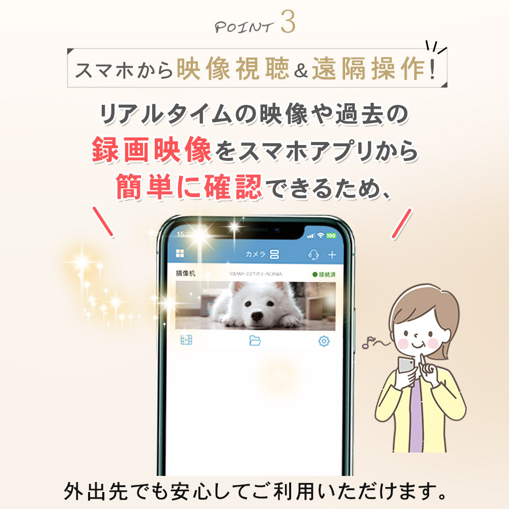 500万画素自動追跡夜間撮影パンチルト対応 Z-GB105