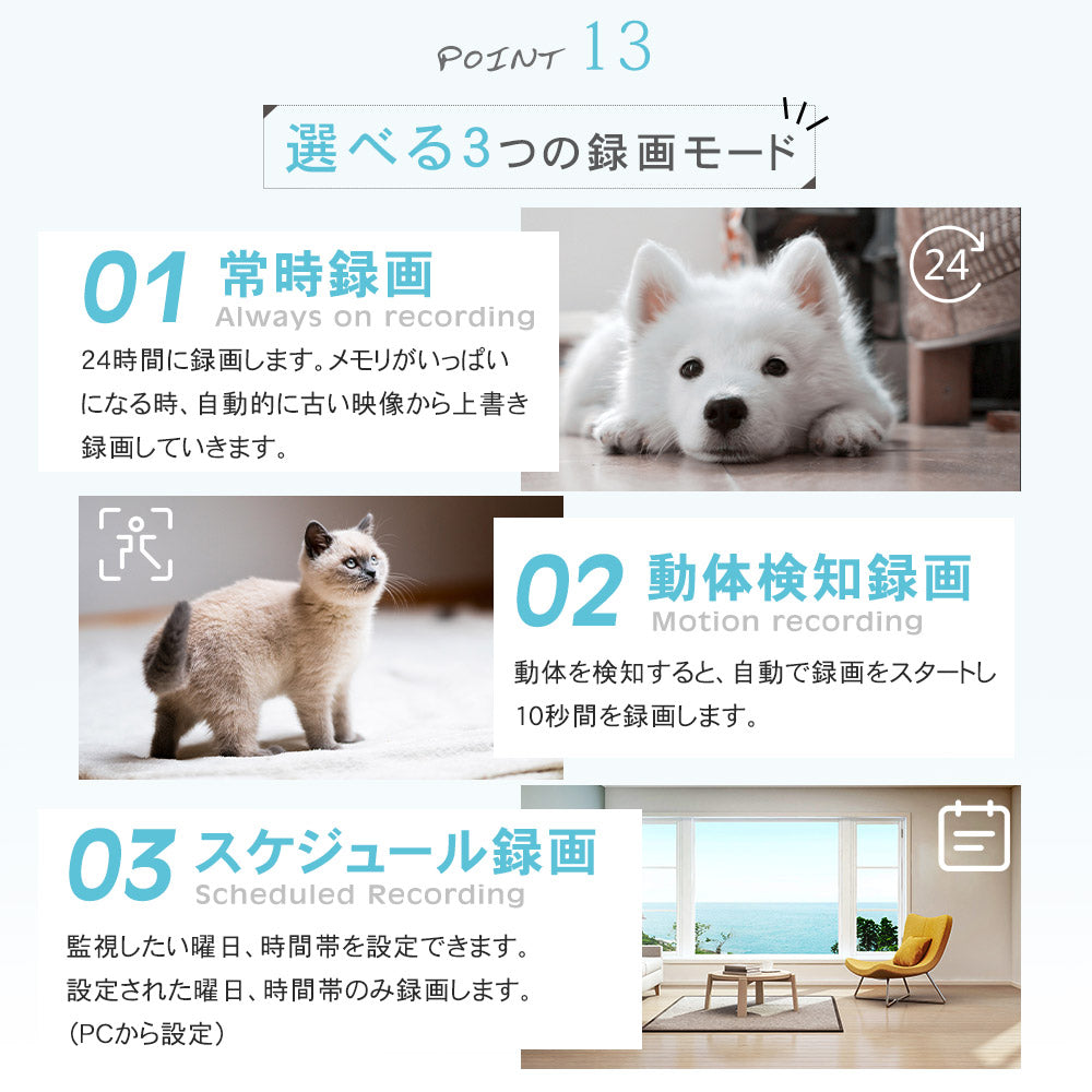 500万画素自動追跡夜間撮影パンチルト対応 Z-GB105