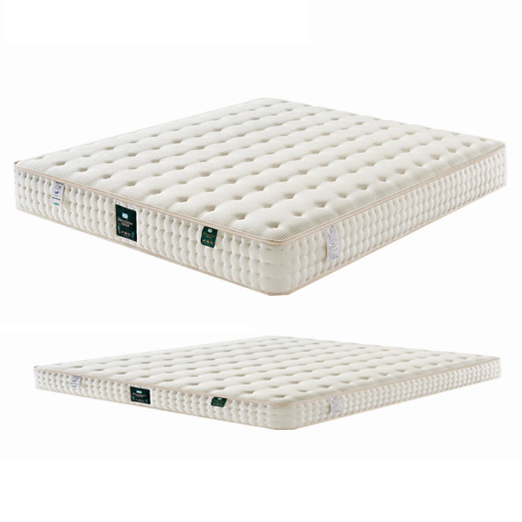 【極上の快適さ】アッシュ材&パイン材使用のおしゃれなベッド hjhms-1563