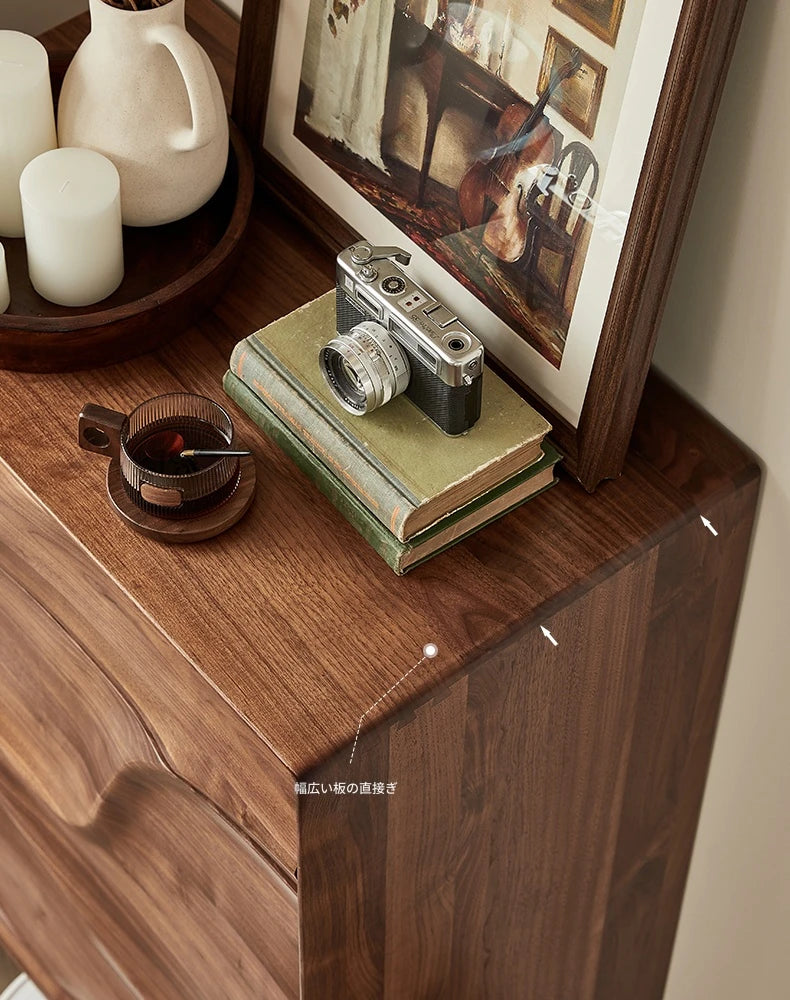 ウォールナット製キャビネット - モダンスタイルで魅力的な収納家具、エレガントなデザインの18世紀風キャビネット hjy-5019