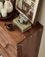 ウォールナット製キャビネット - モダンスタイルで魅力的な収納家具、エレガントなデザインの18世紀風キャビネット hjy-5019