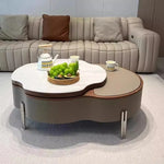 Coffee table カラー1 多層板 合皮 セラミック ステンレス hlwy-3692