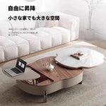 Coffee table カラー1 多層板 合皮 セラミック ステンレス hlwy-3692