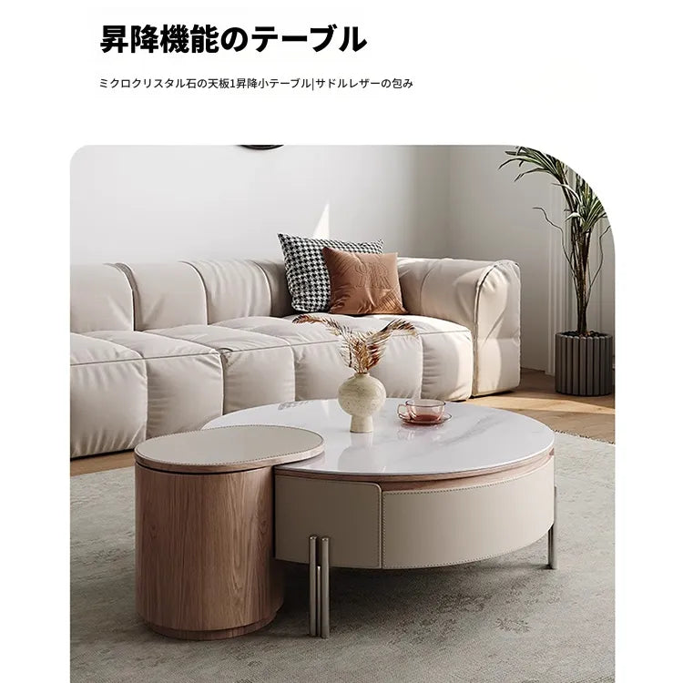 Coffee table カラー1 多層板 合皮 セラミック ステンレス hlwy-3693