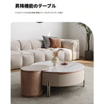 Coffee table カラー1 多層板 合皮 セラミック ステンレス hlwy-3693