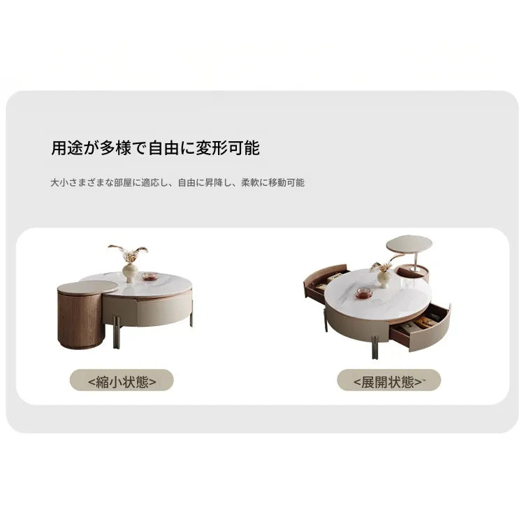 Coffee table カラー1 多層板 合皮 セラミック ステンレス hlwy-3693