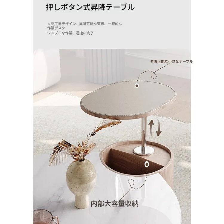 Coffee table カラー1 多層板 合皮 セラミック ステンレス hlwy-3693