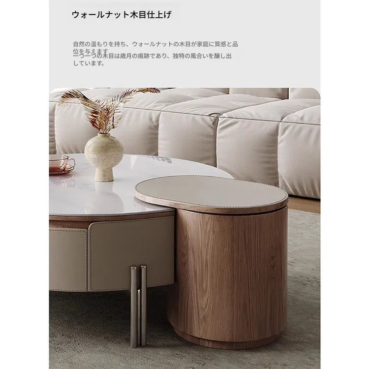 Coffee table カラー1 多層板 合皮 セラミック ステンレス hlwy-3693