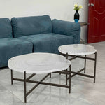 アクリル製円形センターテーブル2点セット | モダンなリビングルームデザインに最適 | スタイリッシュで機能的な家具 hmsf-4672