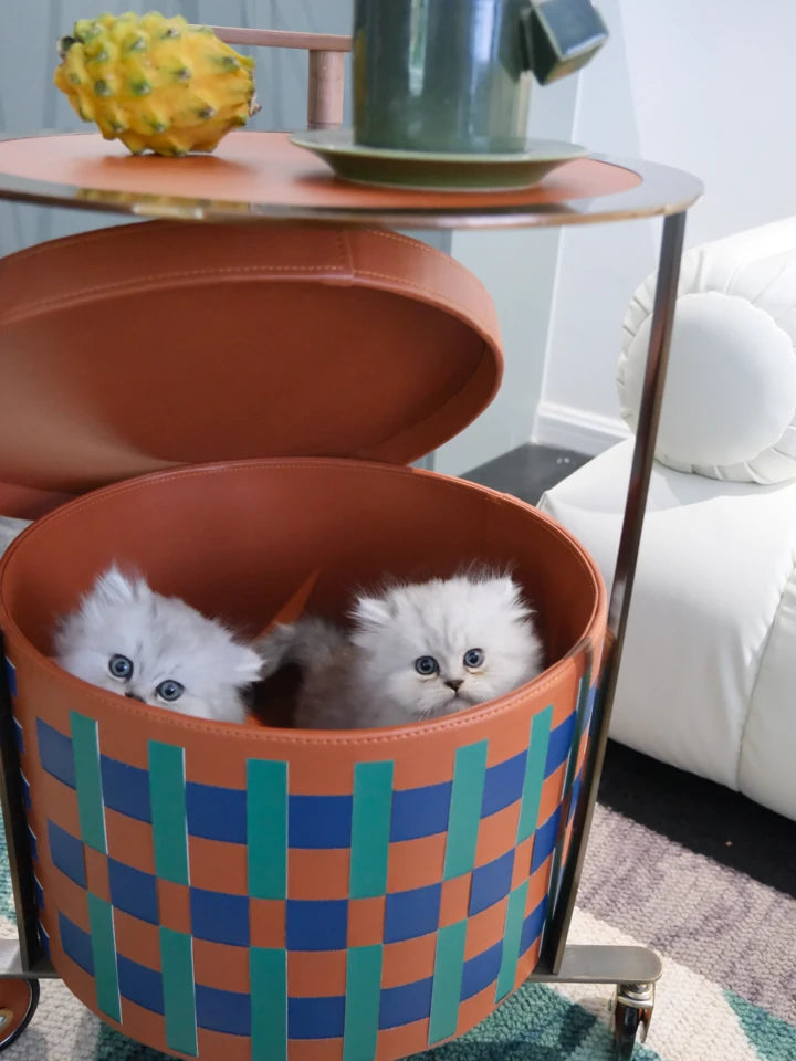 おしゃれなPUレザーとステンレス製センターテーブル|ウォールナットデザインでインテリアをアップデート! hrn-5267