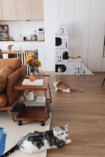 レトロな銅とオーク製カート | 中世リイシューシリーズ | おしゃれなインテリアトレイ hrn-5272