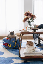 レトロな銅とオーク製カート | 中世リイシューシリーズ | おしゃれなインテリアトレイ hrn-5272